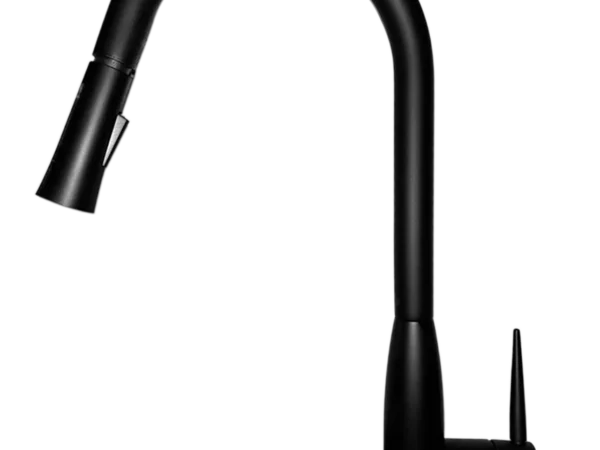 Kitchen Faucet