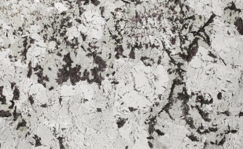 DELICATUS WHITE