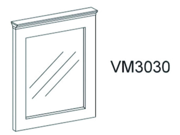 ISW-VM3030